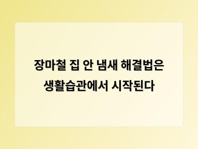 장마철 집안 냄새는 습관에서 시작된다 완벽한 관리법 공개