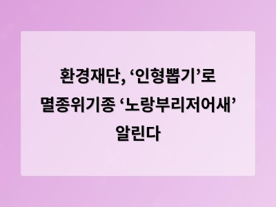 환경재단, ‘인형뽑기’로 멸종위기종 ‘노랑부리저어새’ 알린다 - 디자인 홈페이지제작