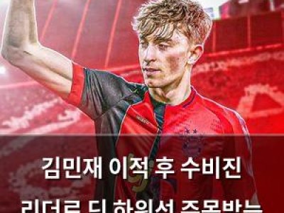 김민재 이적 후 수비진 리더로 딘 하위선 주목받는 이유
